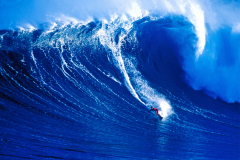 buzzy-slides-down-the-face-of-a-blue-mountain-of-water-at-peahi_